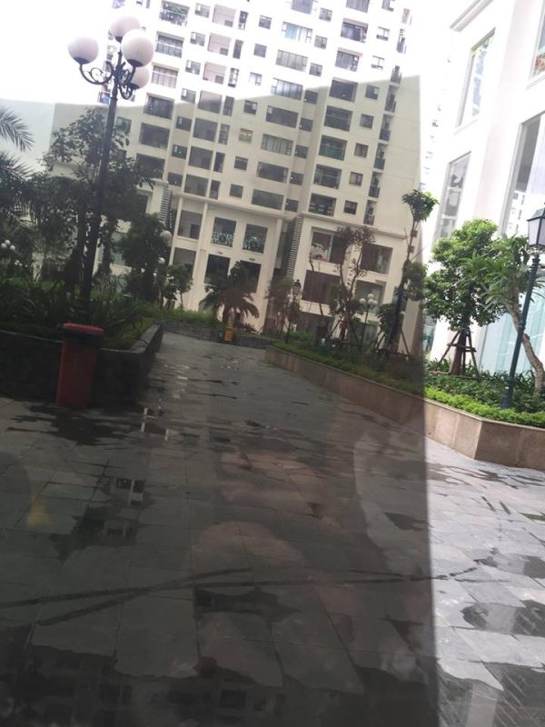 Phim Cách Nhiệt Màu Xanh Đen